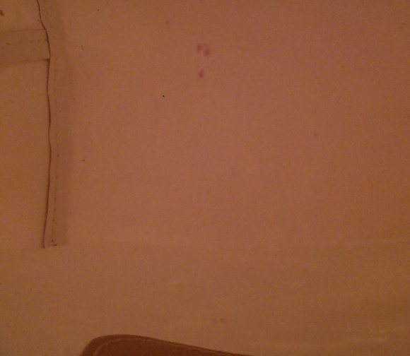 *PRE LOVED* Longchamp Small Nylon Tote - Picture 7 of 7